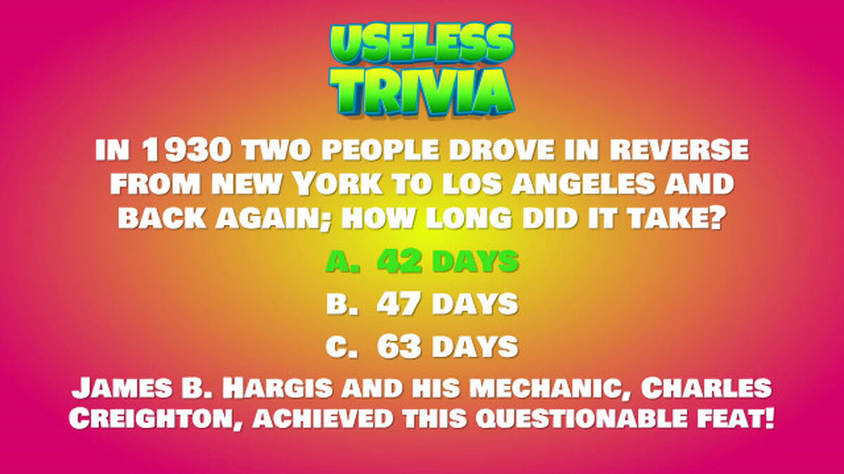 Useless Trivia image number null